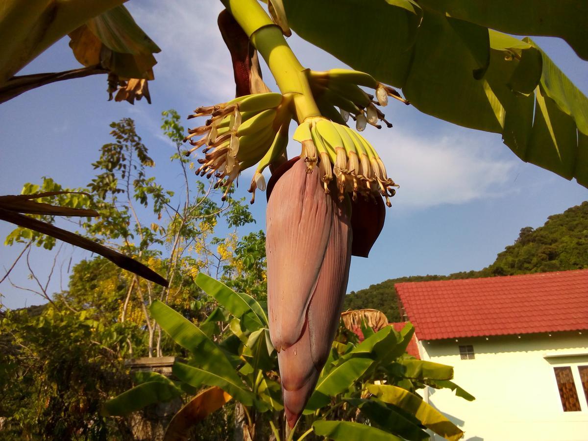 Kep Bungalows ภายนอก รูปภาพ